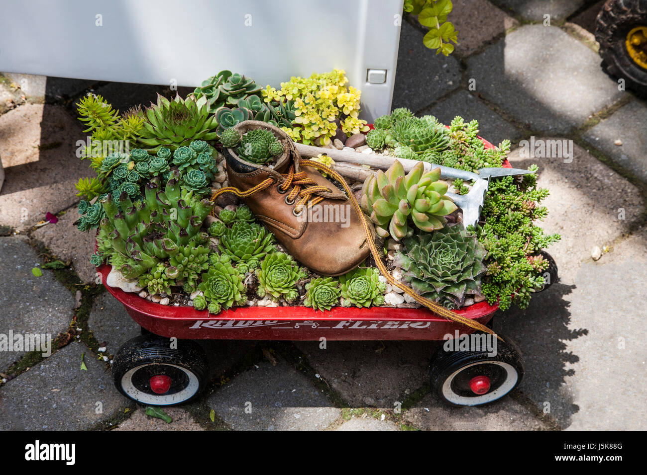 Recycled red wagon planter of succulent plants and a child's shoe, Lancaster County, Pennsylvania, PA images, America, upcycle fairy garden, cacti Stock Photo