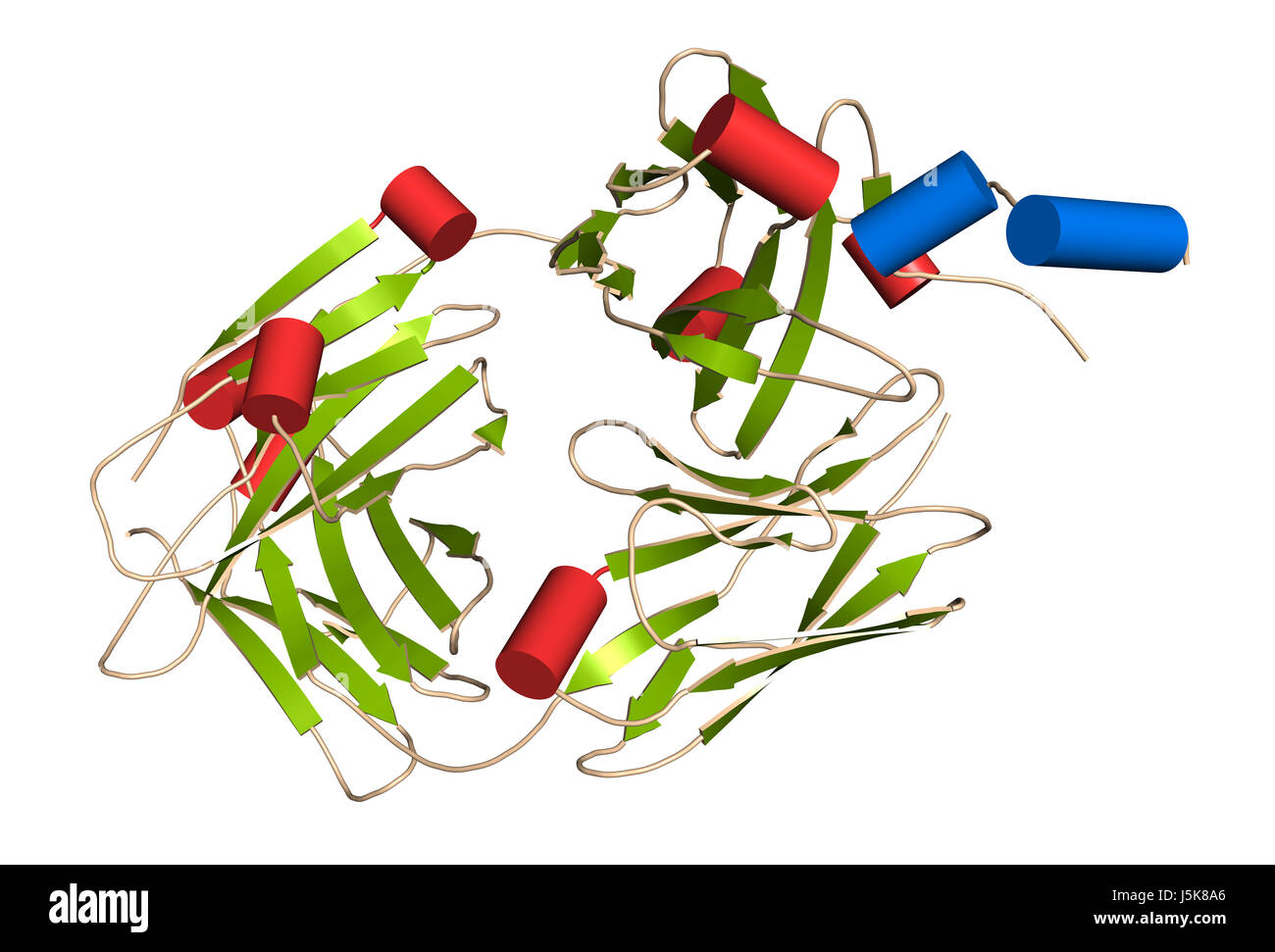 B-lymphocyte antigen CD20 epitope peptide fragment, bound to rituximab (Fab fragment). Indications for rituximab include leukemia and lymphoma. Stock Photo