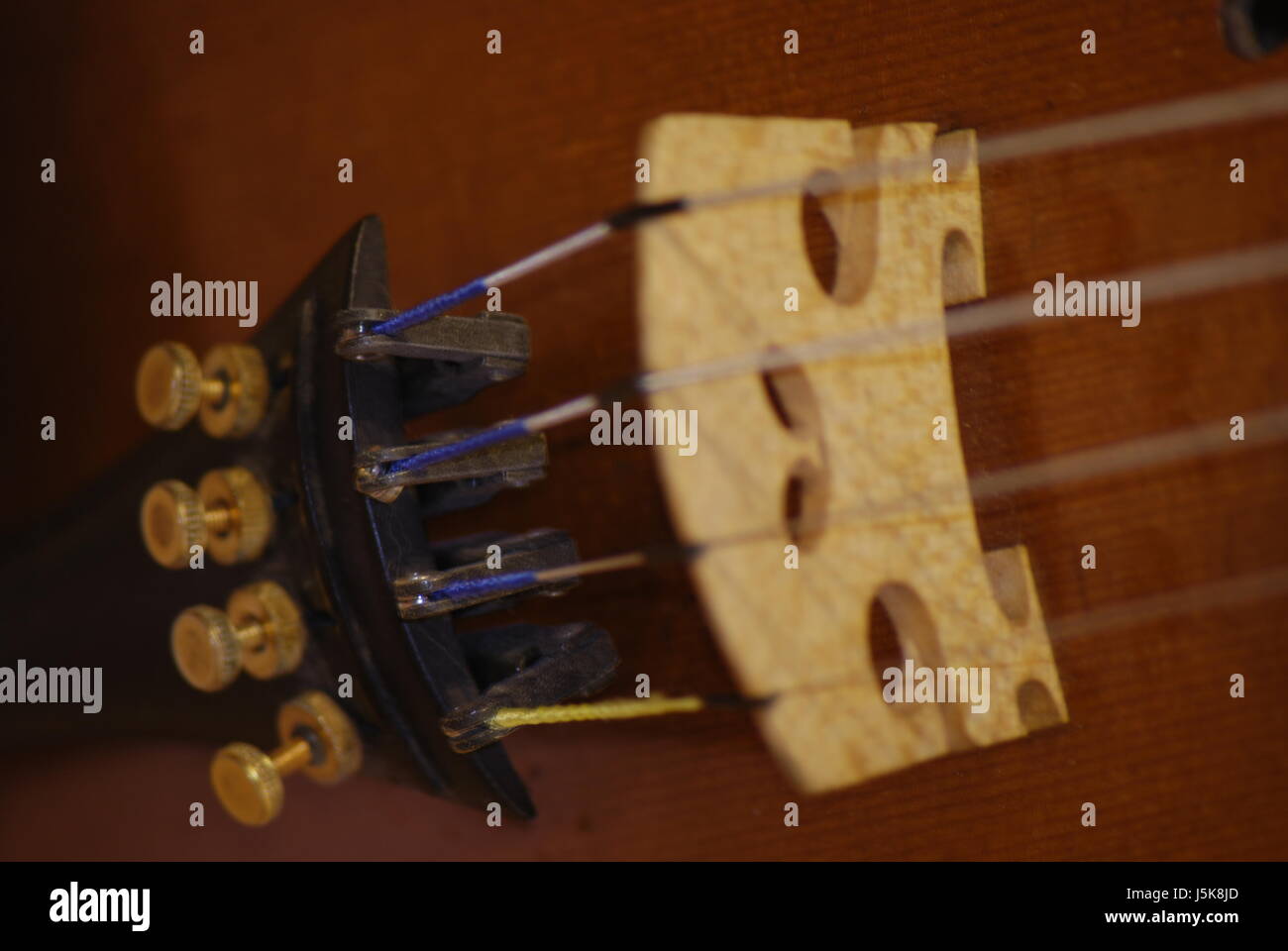 music musical instrument wood bridge strings violin bowed instrument