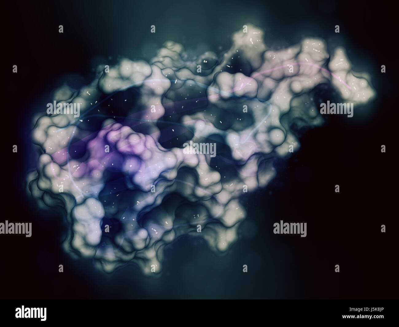 CD47 (integrin associated protein, extracellular domain) protein. Often present on cancer cells and a potential antitumoral drug target. 3D rendering. Stock Photo