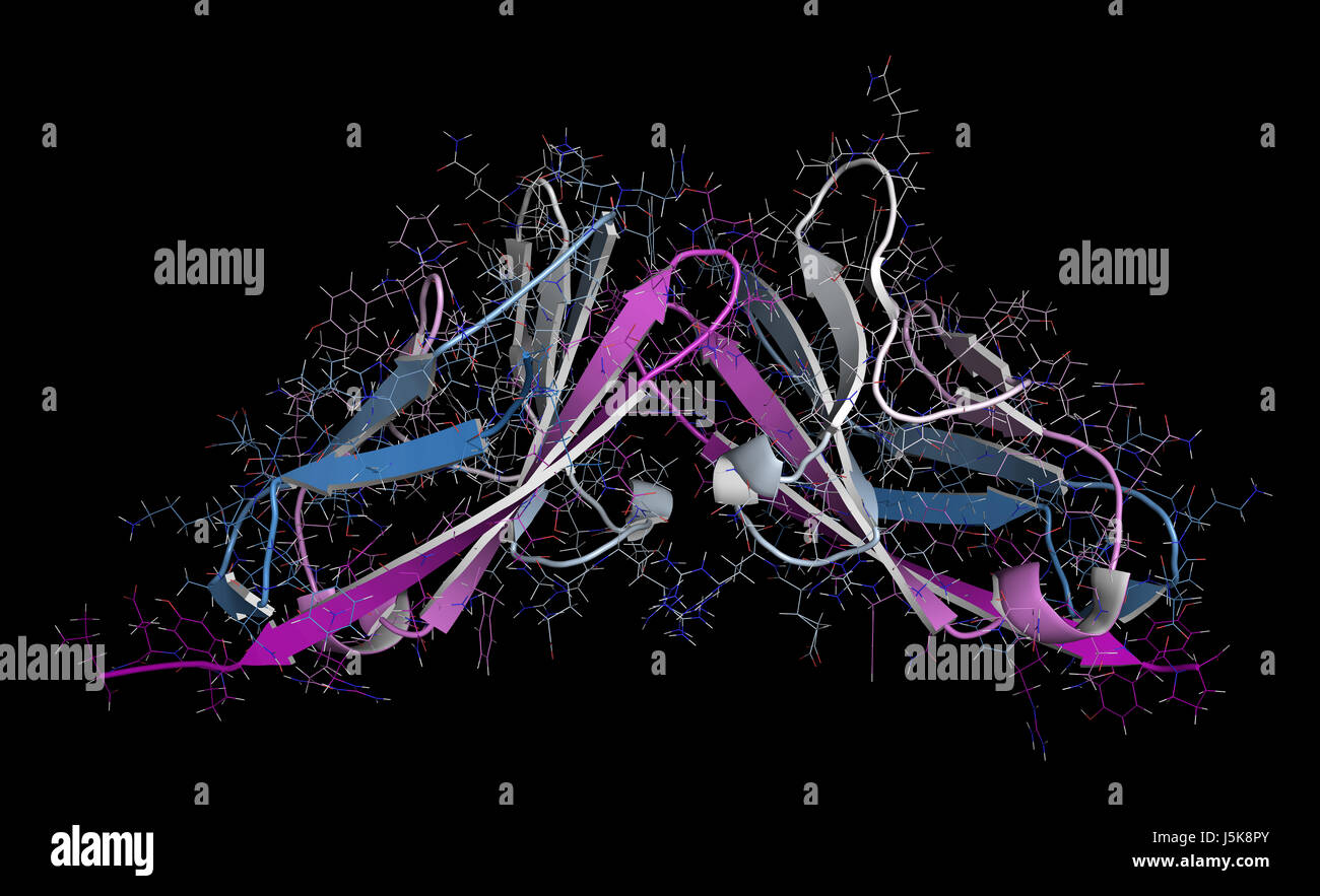 Carcinoembryonic antigen (CEA, CEACAM5, Nterminal domain). Used as