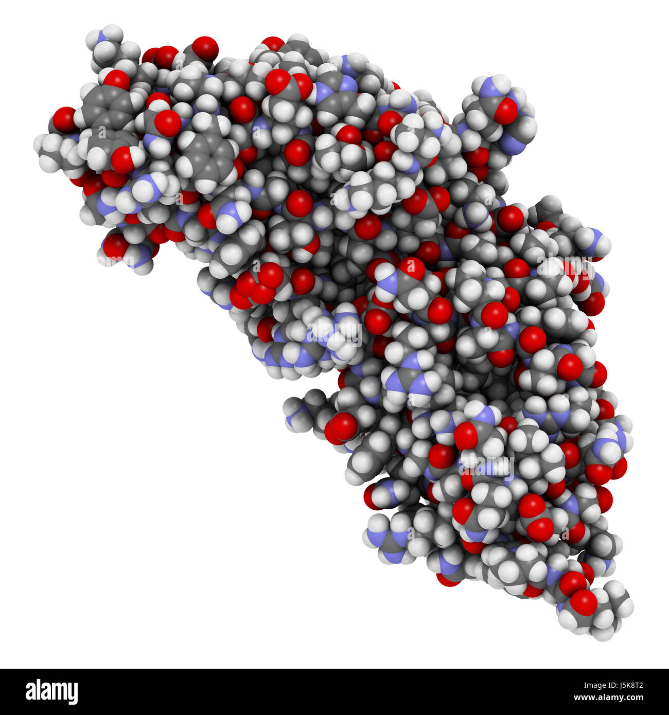 Carcinoembryonic antigen (CEA, CEACAM5, Nterminal domain). Used as
