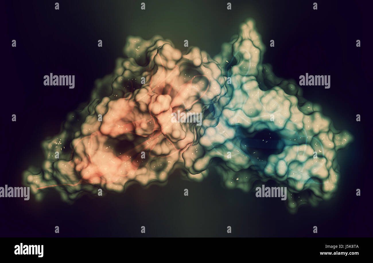 Carcinoembryonic antigen (CEA, CEACAM5, Nterminal domain). Used as