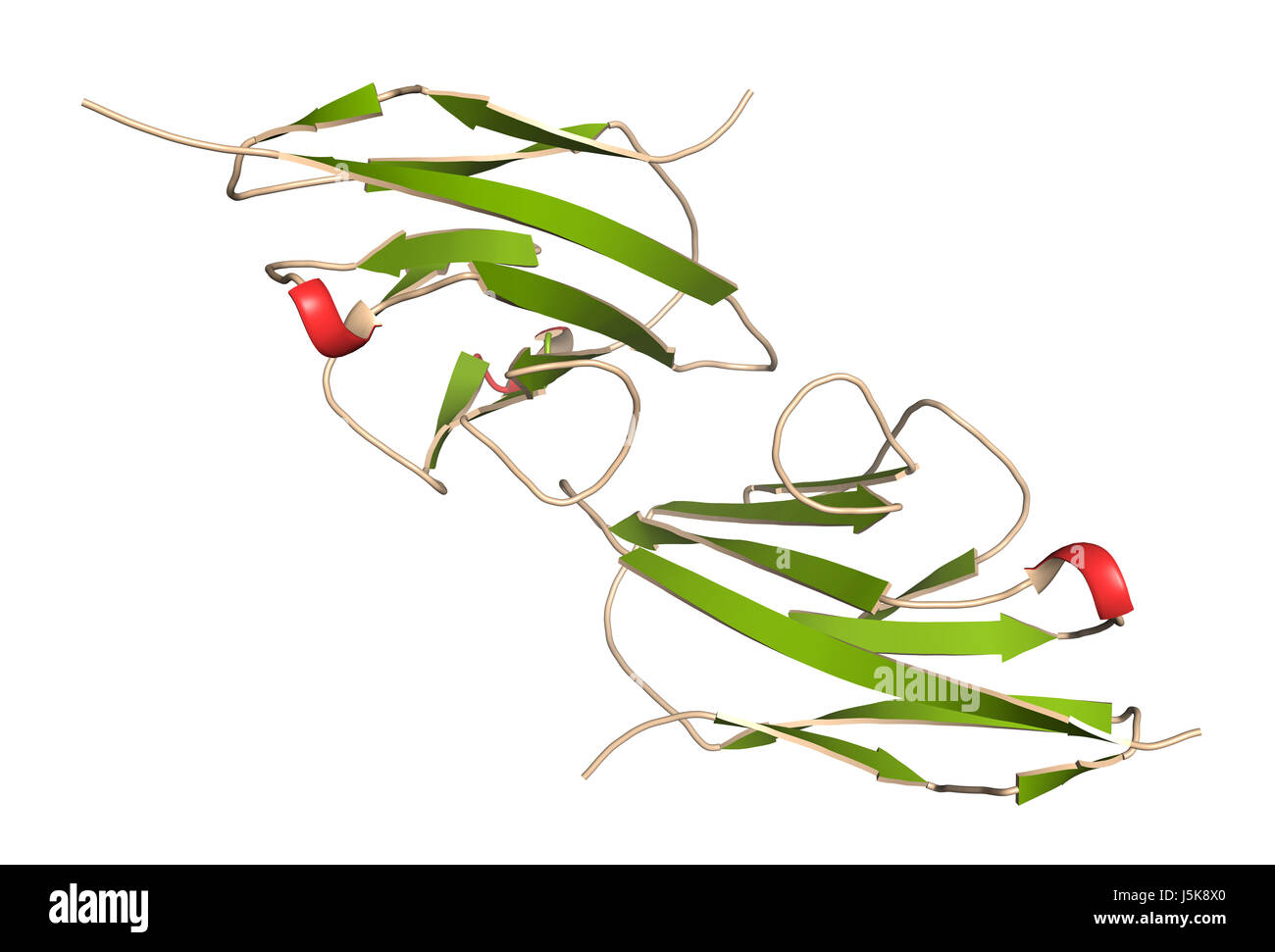 Carcinoembryonic antigen (CEA, CEACAM5, Nterminal domain). Used as