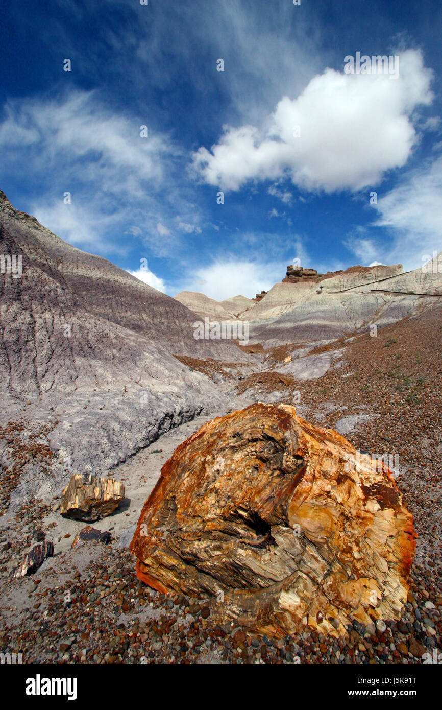 wood national park usa america sandstone petrified erosion portrait format Stock Photo
