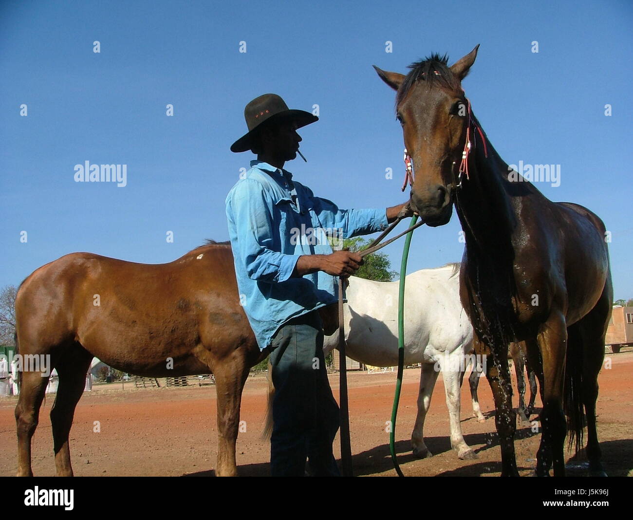 ride horse animal hat australia horses farm cowboy horseriding man ...