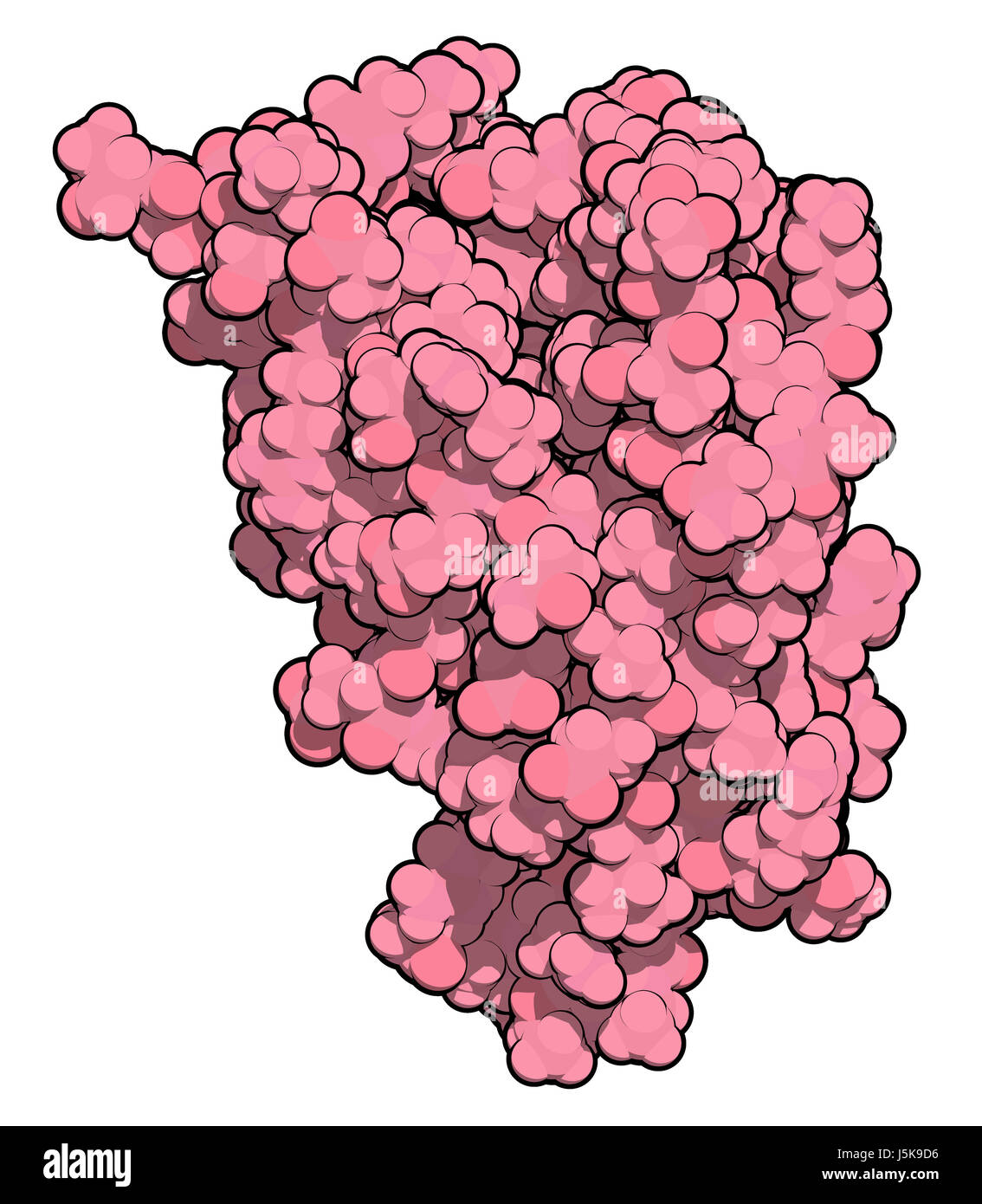 T helper cells hi-res stock photography and images - Alamy