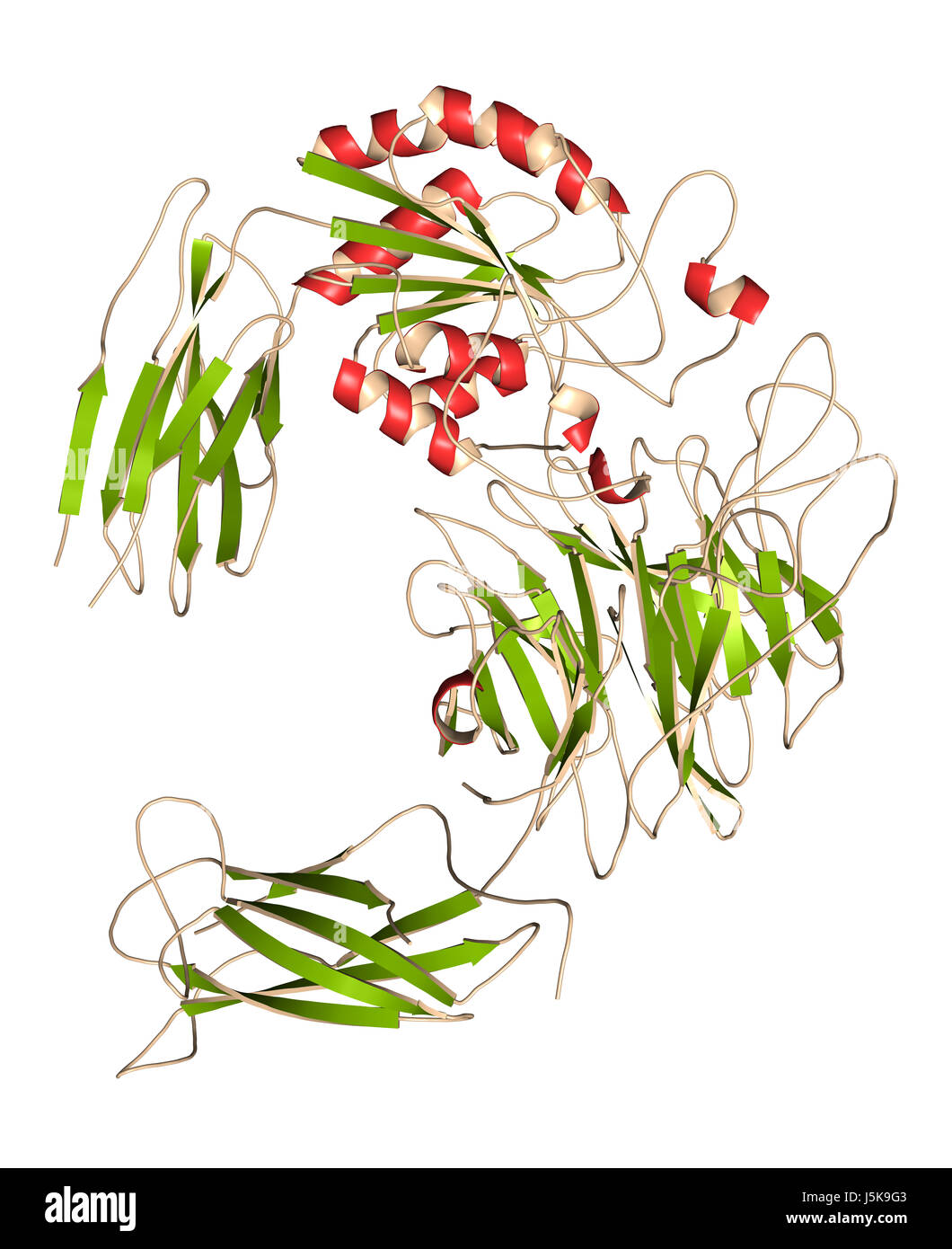 Integrin alpha-4 beta 7 (a4b7, headpiece). Cell surface protein complex ...