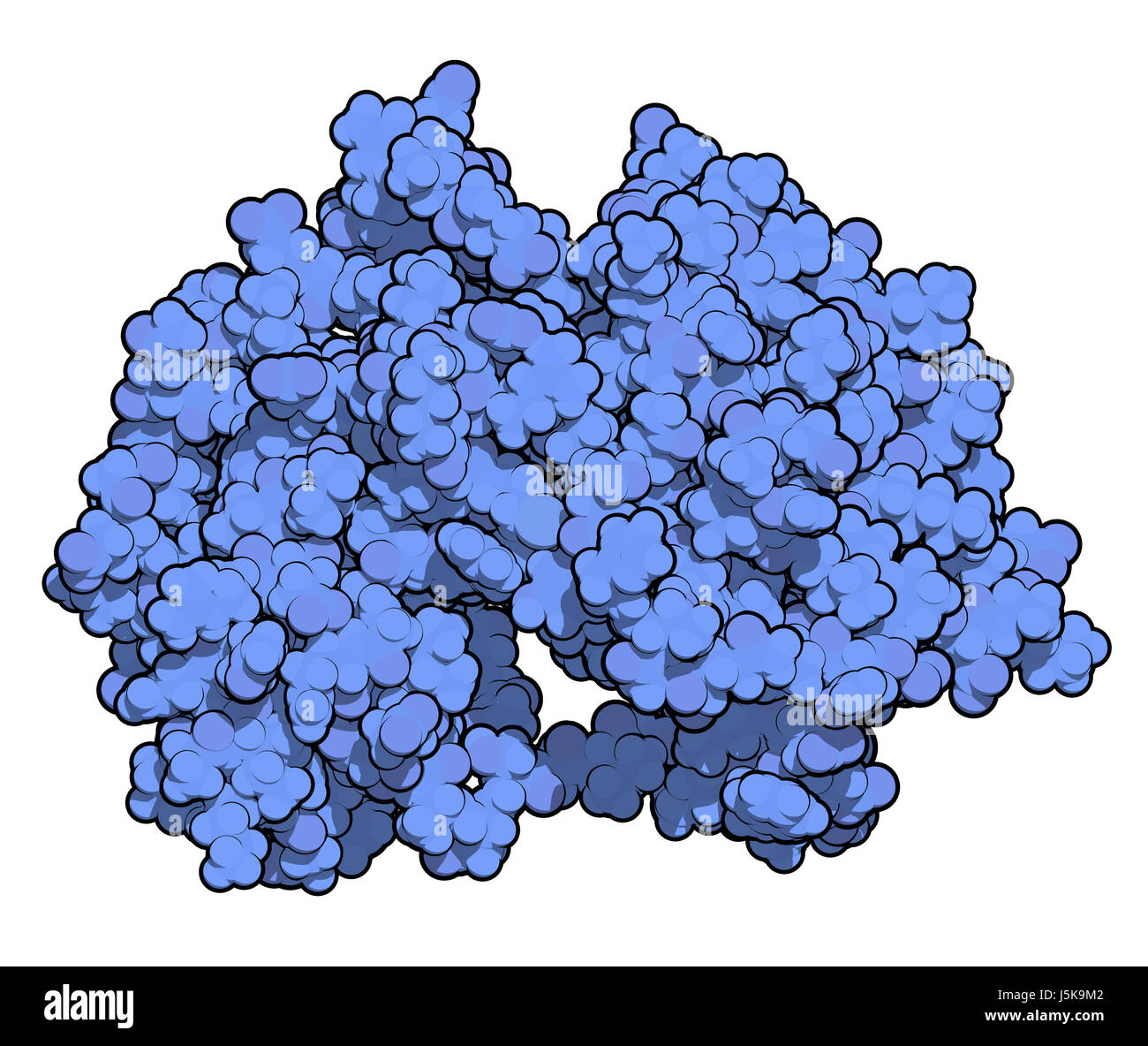 MEK1 or mitogen-activated protein kinase kinase 1 (rabbit) protein. MEK inhibitors are used in treatment of cancer and includes cobimetinib. Stock Photo