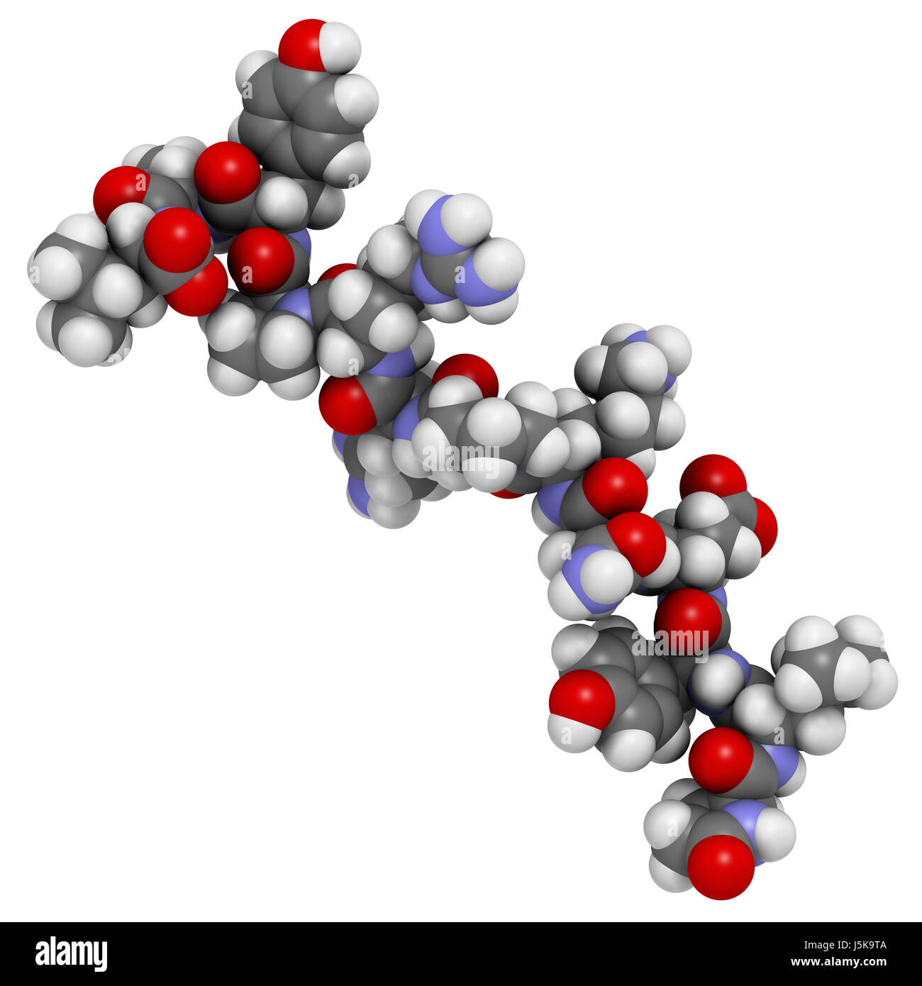 Neurotensin neurotransmitter peptide (Q1E mutated). 3D rendering based on protein data bank entry 2lne. Atoms are represented as spheres. Stock Photo