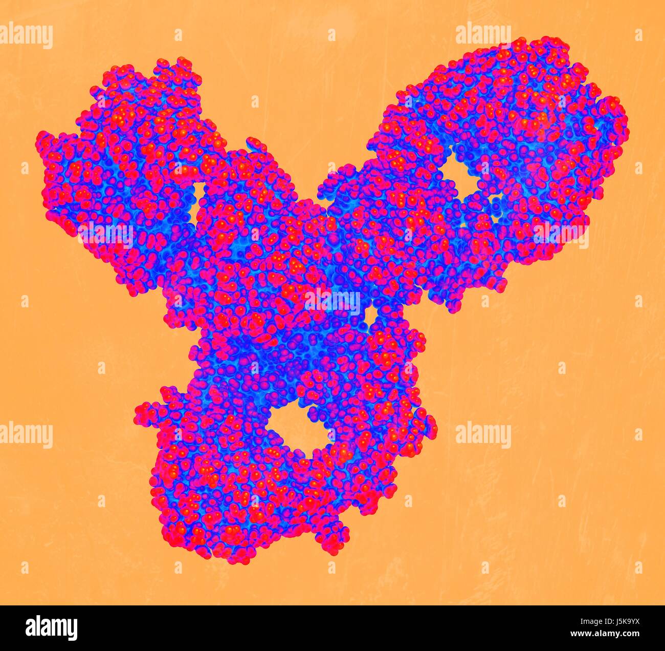 Monoclonal antibody melanoma hi-res stock photography and images - Alamy