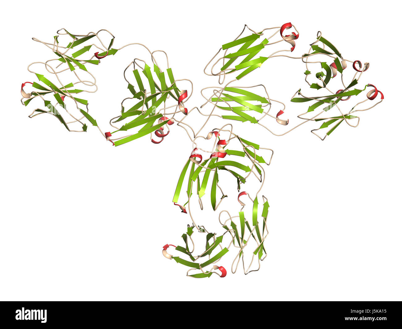 Monoclonal antibody melanoma hi-res stock photography and images - Alamy