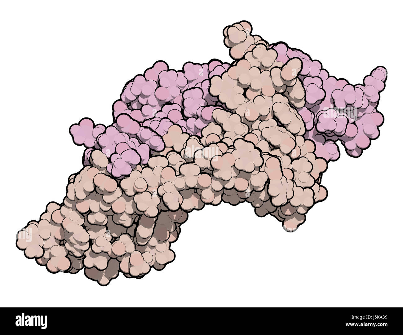 Placental growth factor (PlGF, receptor binding domain) protein. 3D rendering based on protein data bank entry 1rv6. Stock Photo