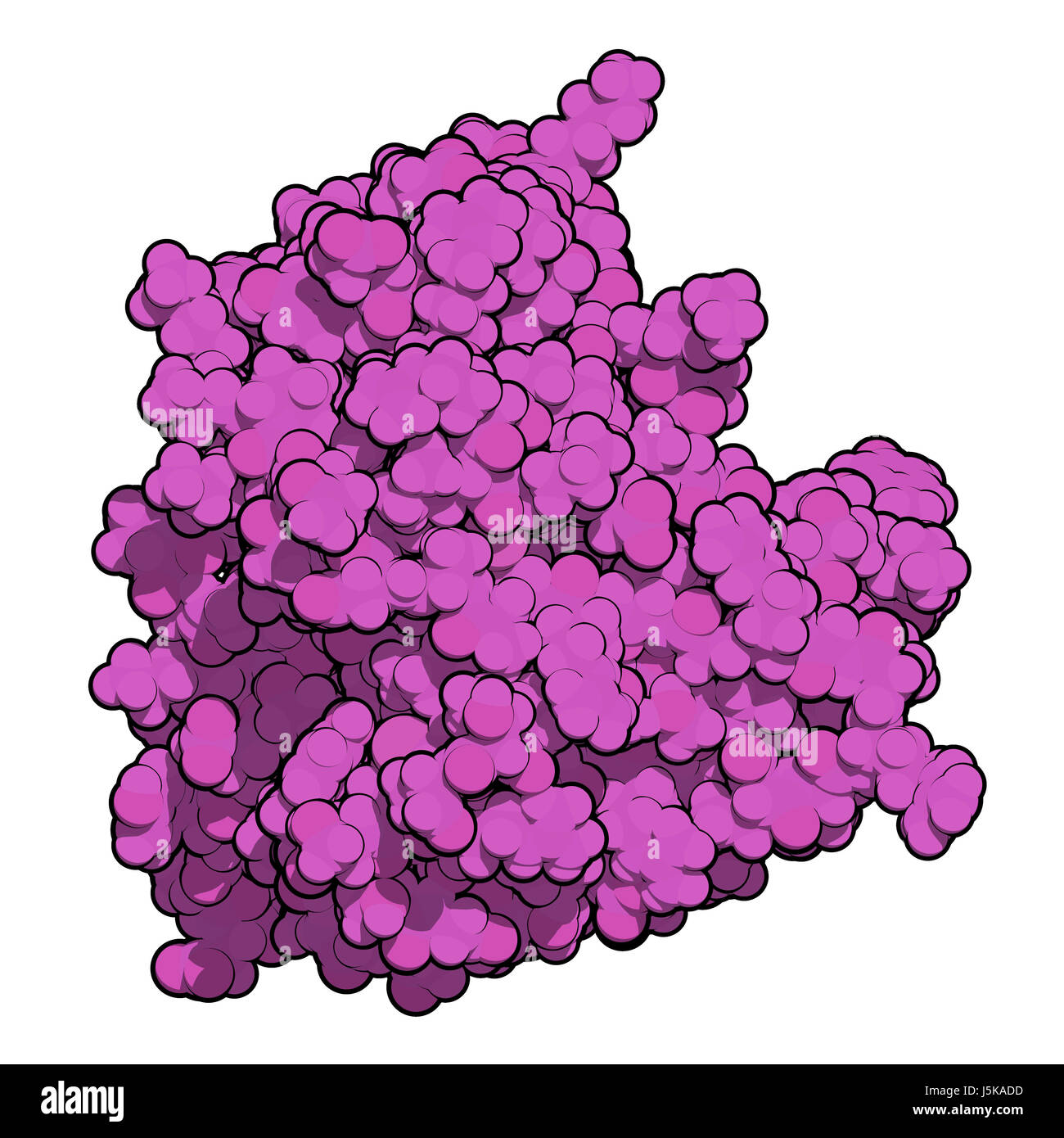 Thaumatin sweetener protein. Isolated from katemfe fruit. 3D rendering based on protein data bank entry 5lh7. Atoms shown as color-coded spheres. Stock Photo