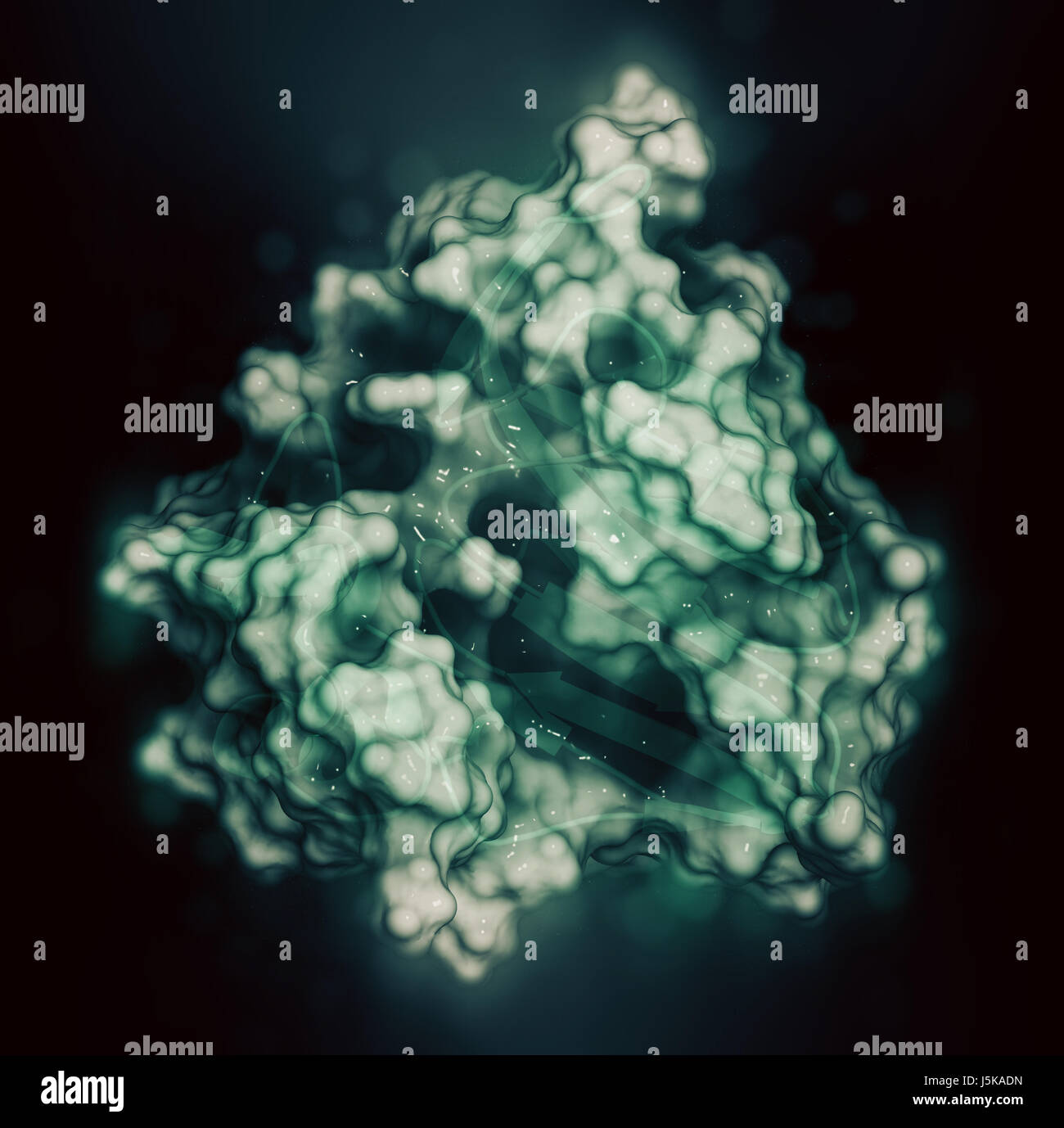 Thaumatin sweetener protein. Isolated from katemfe fruit. 3D rendering based on protein data bank entry 5lh7. Stock Photo