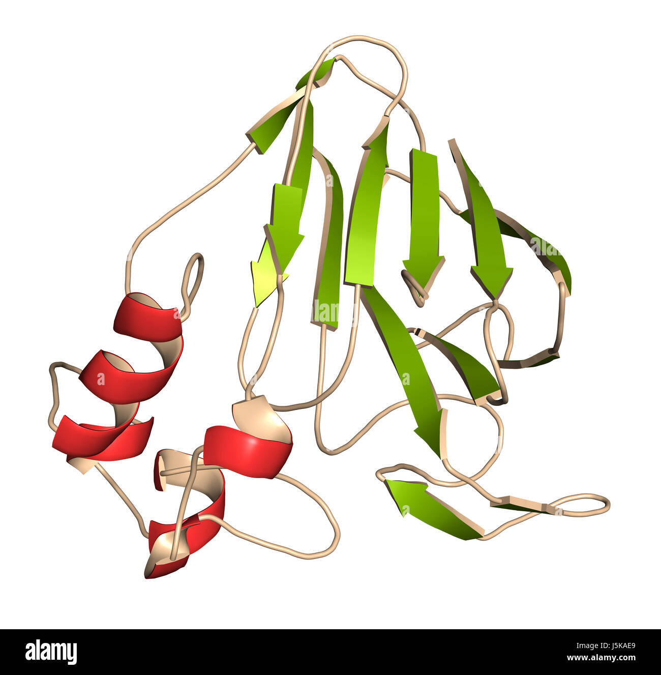 Thaumatin sweetener protein. Isolated from katemfe fruit. 3D rendering based on protein data bank entry 5lh7. Cartoon representation. Stock Photo