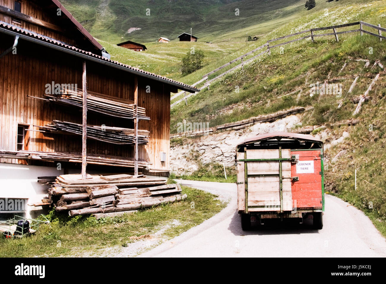 animal agriculture farming human human being switzerland grisons transport cow Stock Photo