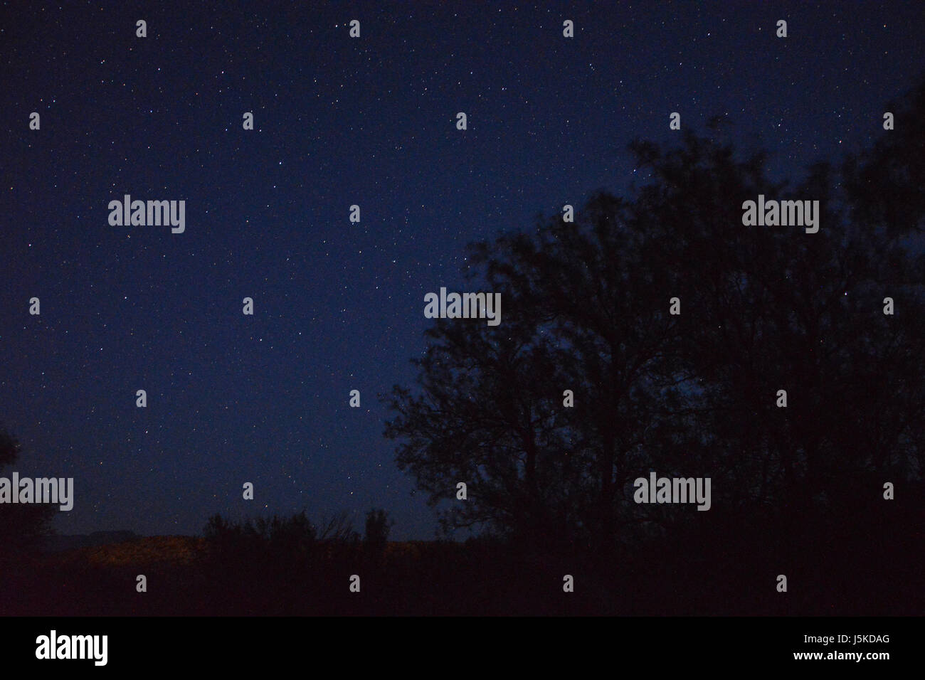 Big Bend has the least amount of light pollution of any National Park