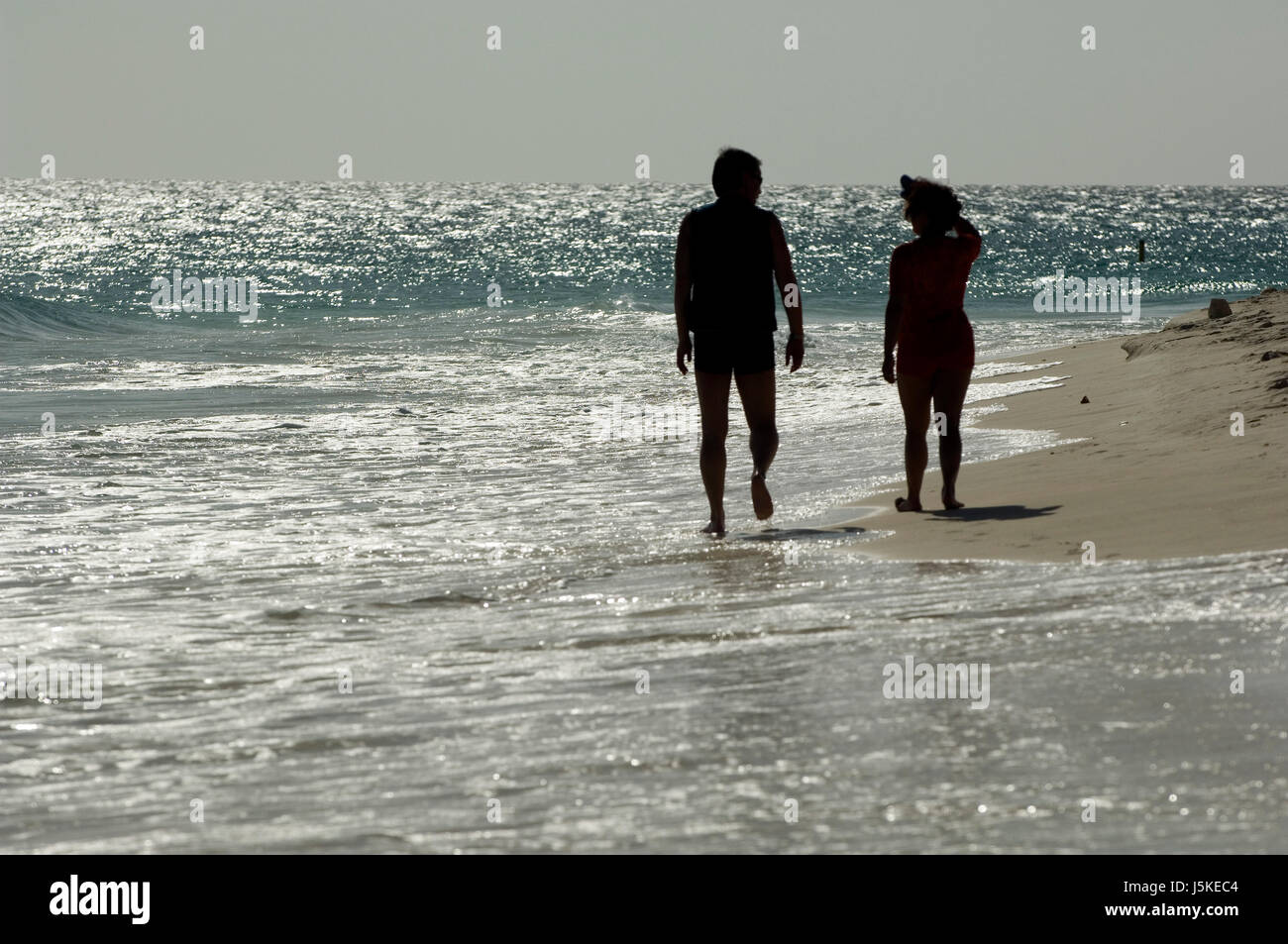 humans human beings people folk persons human human being beach seaside ...