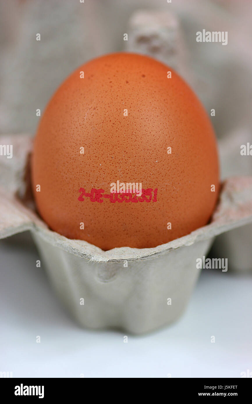 eco stamp egg eggshell eggs tenable to earmark eierstempel legedatum Stock Photo