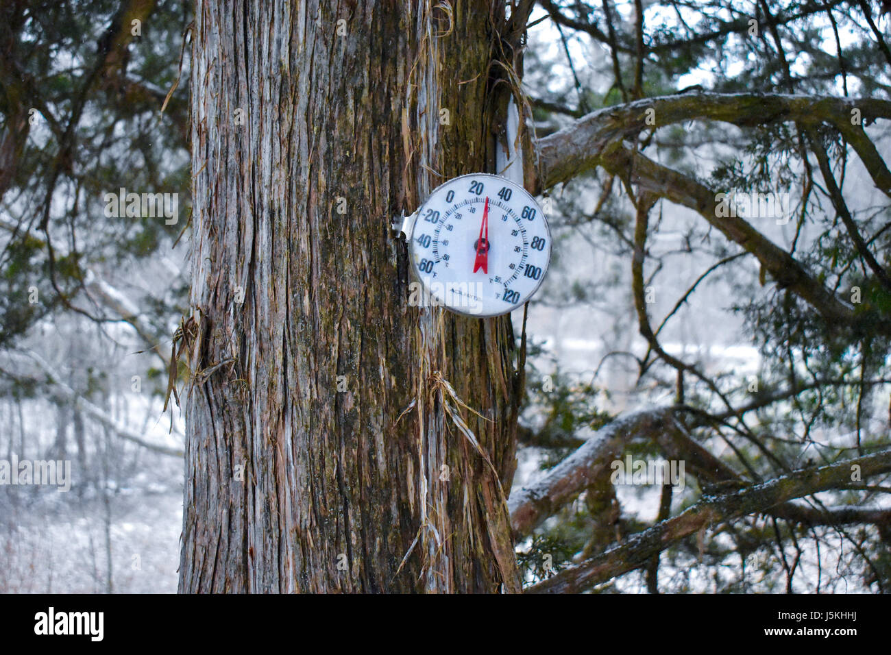 https://c8.alamy.com/comp/J5KHHJ/tree-in-the-winter-covered-in-snow-with-the-thermometer-showing-the-J5KHHJ.jpg