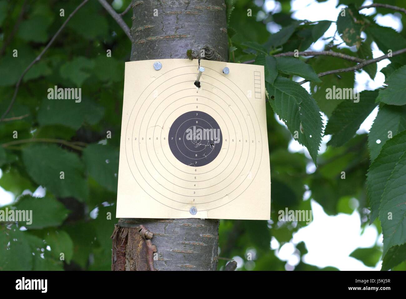 Aimgoaldirect Stock Photo 141187587 Alamy - 