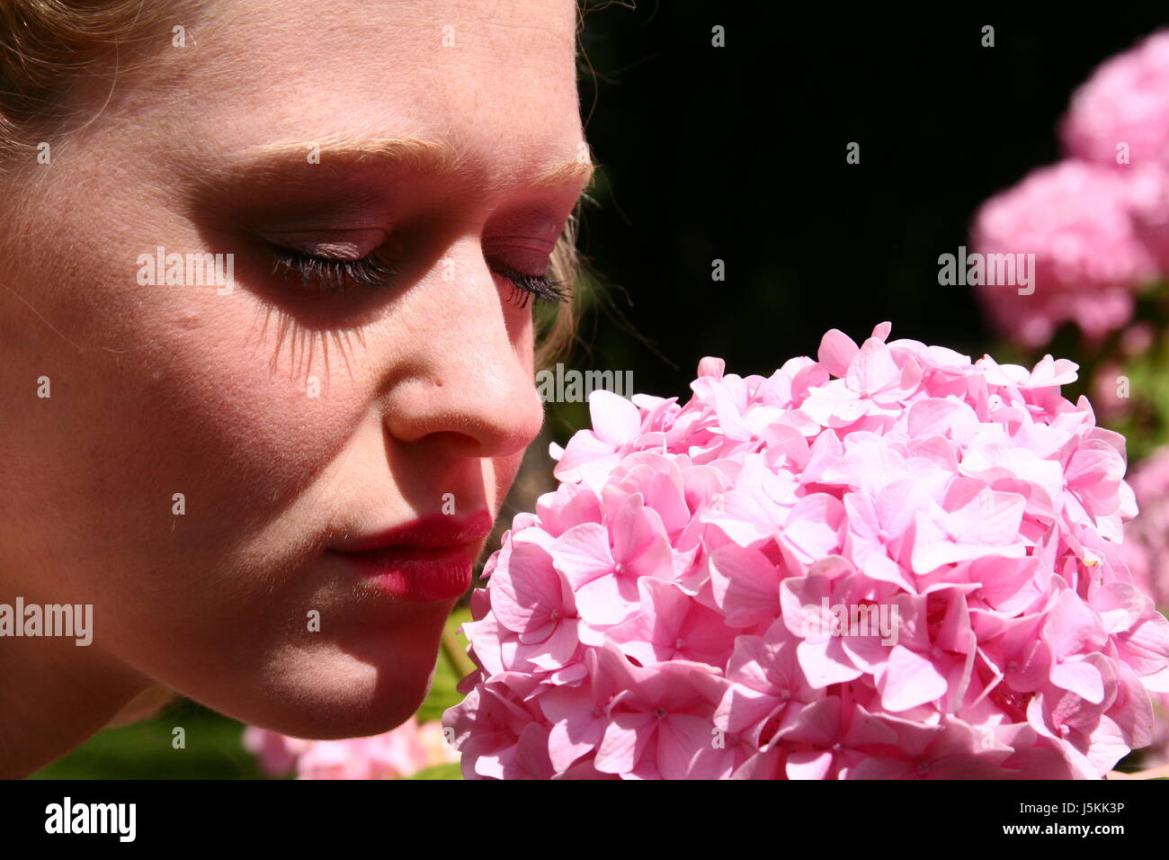 woman smelling flower Stock Photo Alamy