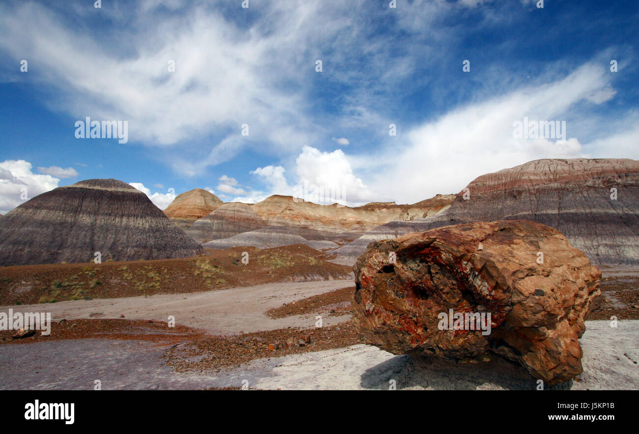 wood national park usa america sandstone petrified erosion landscape format Stock Photo