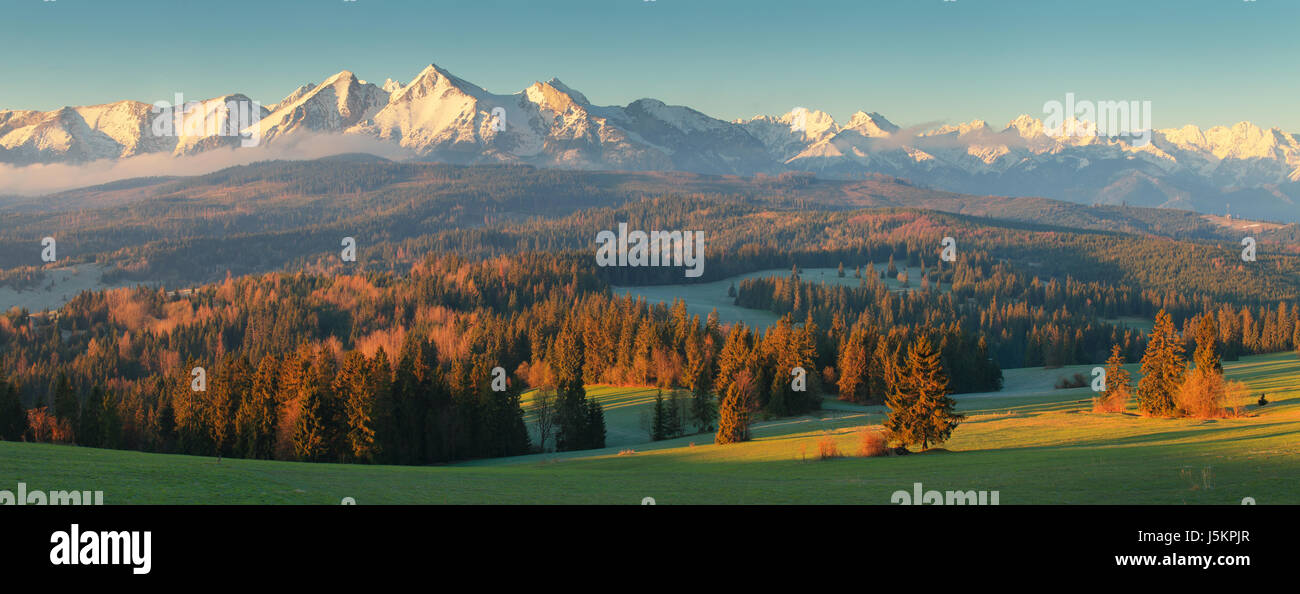 Summer morning in mountains. Green valley illuminated by rising sun. Snowy mountain peaks in morning sunlight. Beautiful panorama of Tatra mountains. Stock Photo