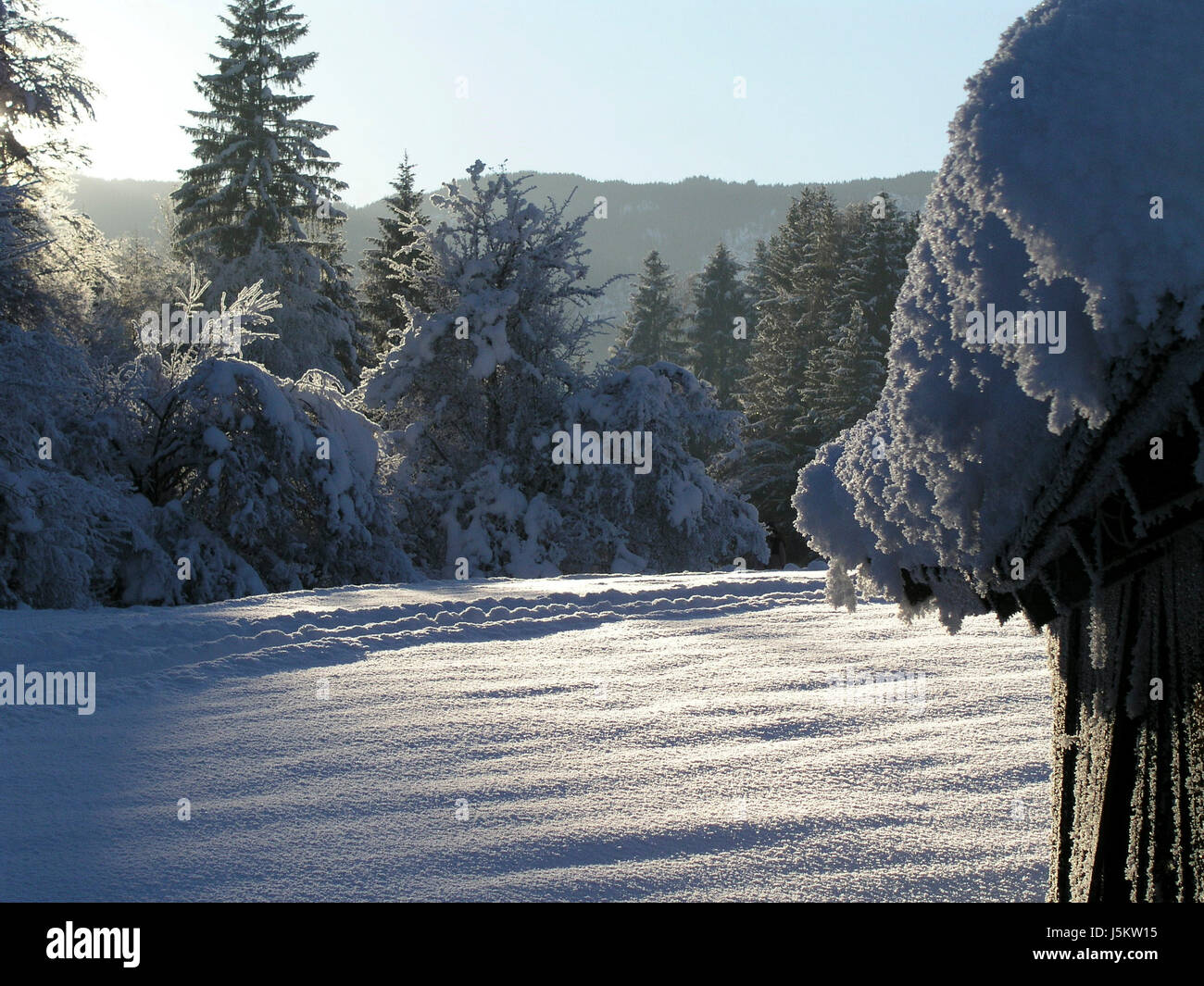 winter,cold,winter landscape,barn,snowcapped,icy,snow,lodge,hut,almhtte Stock Photo