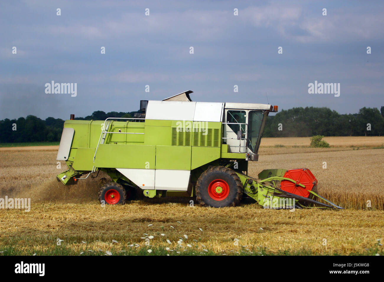 field summer summerly width grain ripe combine harvester reap july august Stock Photo