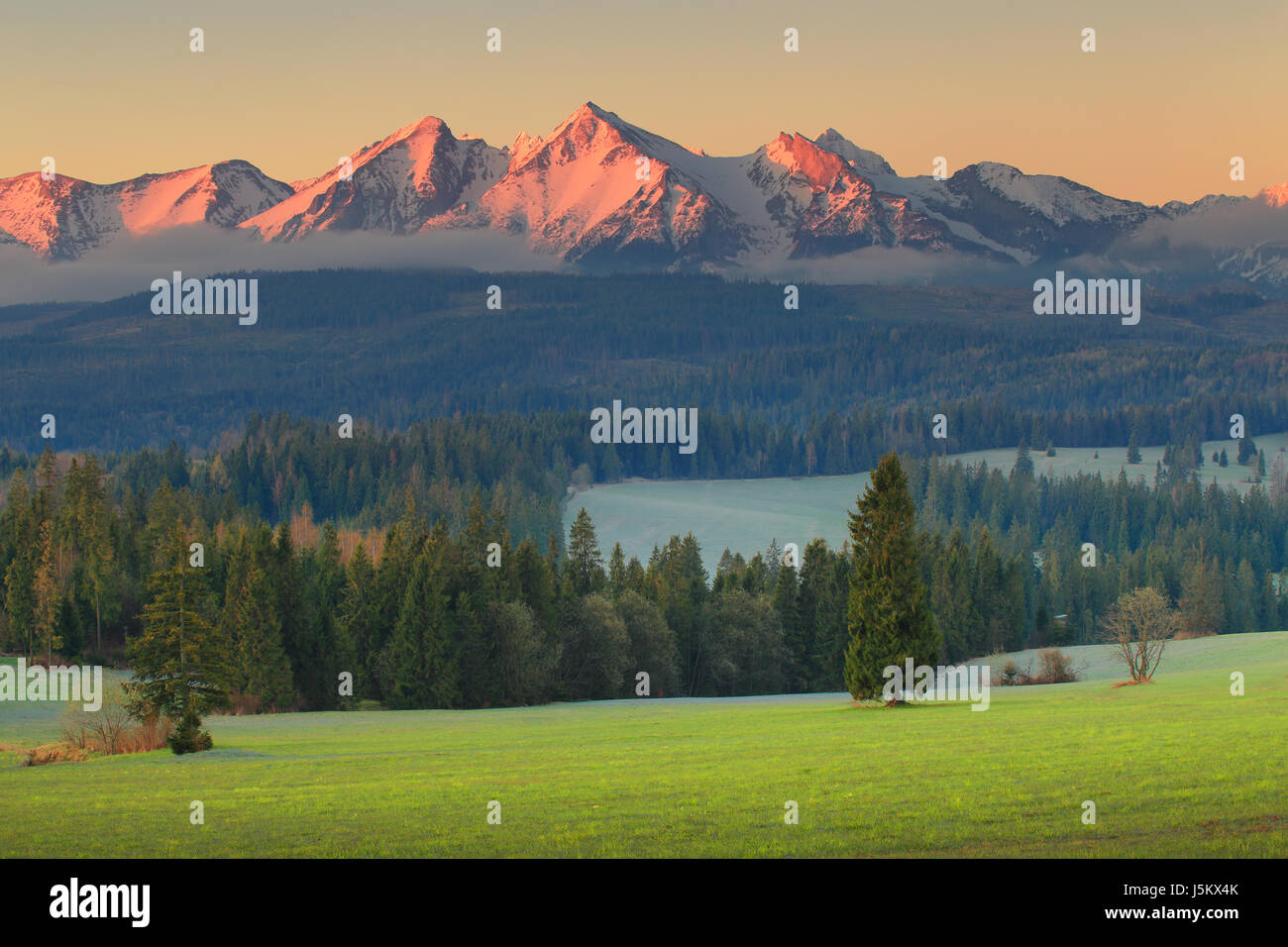 Fairy mountain landscape. Beautiful morning at Alpine foothill. Sunrise over green meadow. Stock Photo