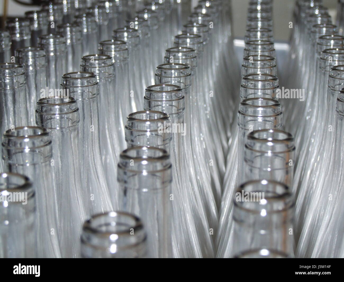 row bottle open viticulture wine bottle glassy bottle-neck conscious empty Stock Photo