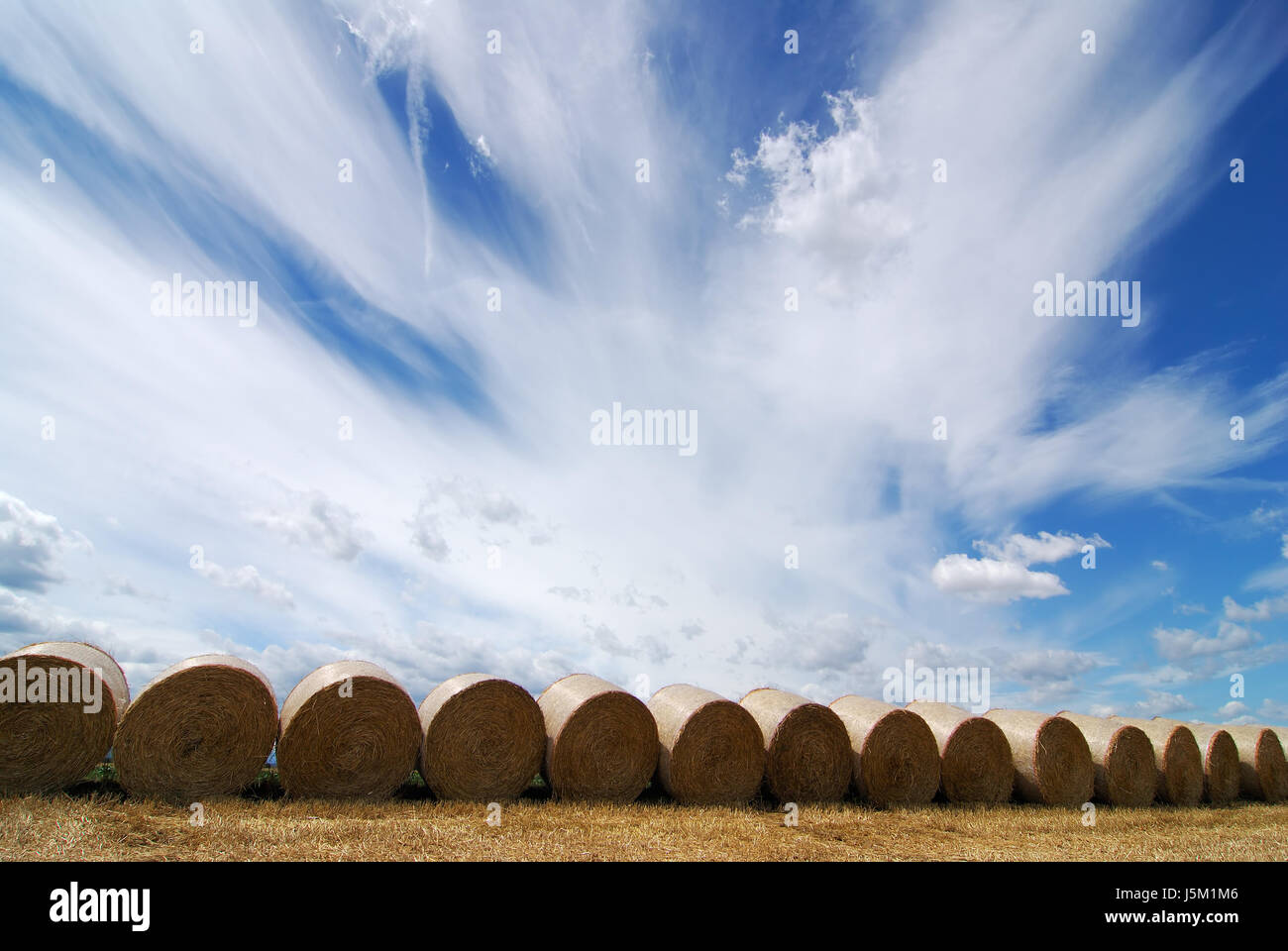 blue agriculture farming field summer summerly golden row acre straw ...