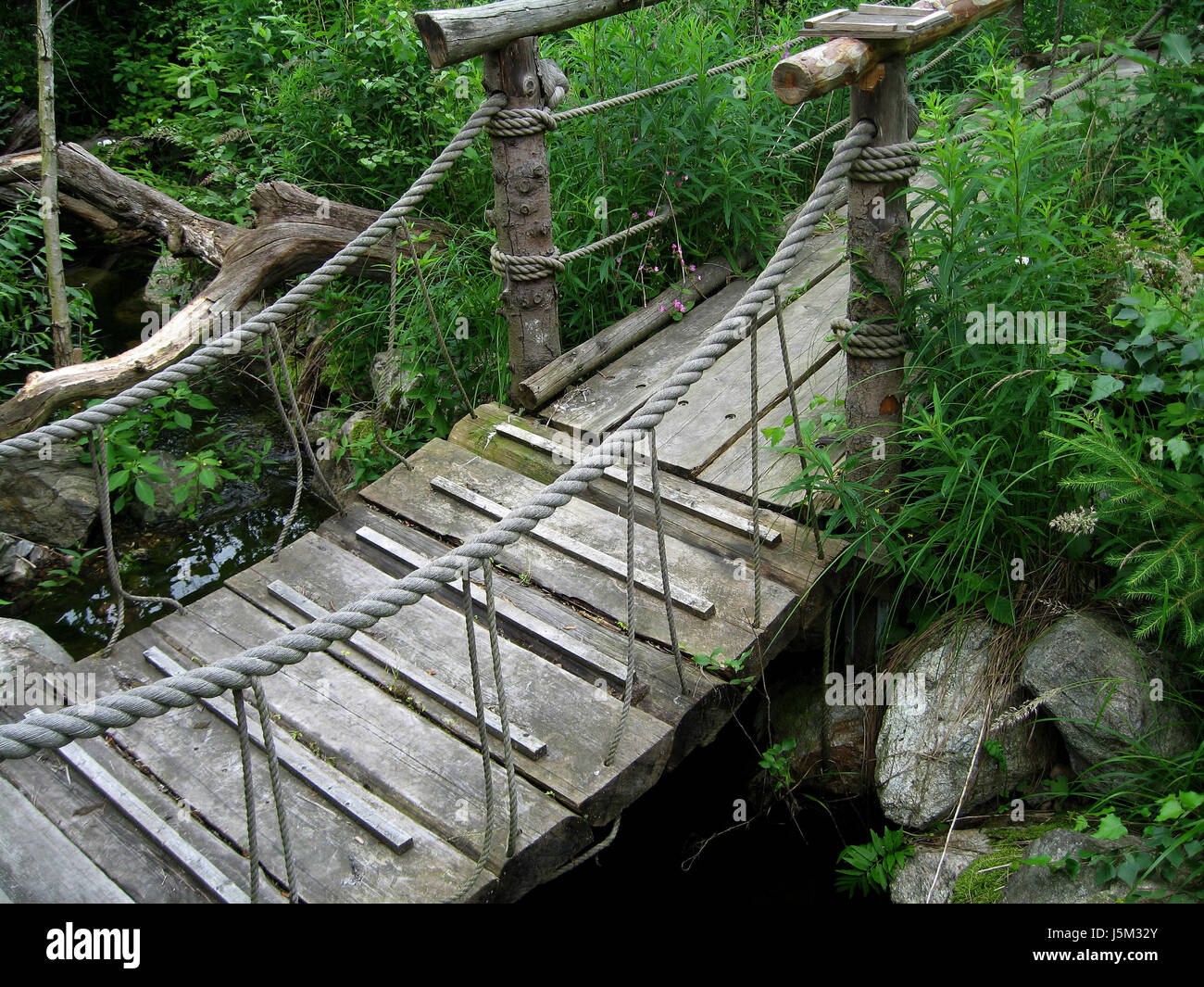 connected plant green wood bridge stream suspension bridge hang shelf