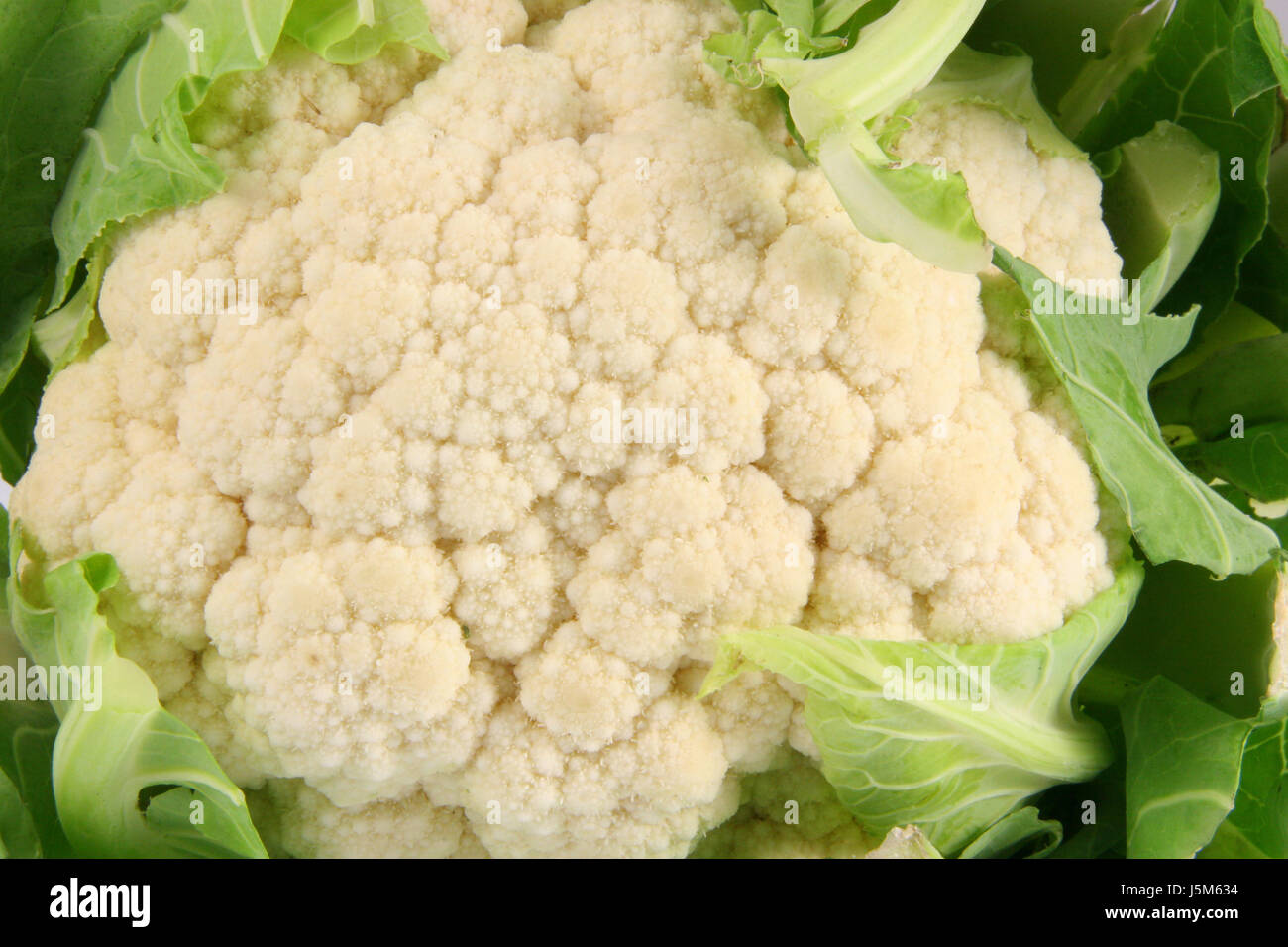 food aliment vegetable cabbage cauliflower kale stew essen blumenkohl brassica Stock Photo