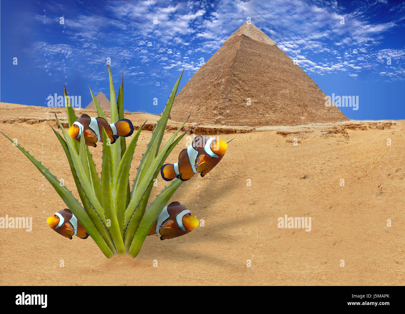 blue life exist existence living lives desert wasteland fantasy heat cactus Stock Photo