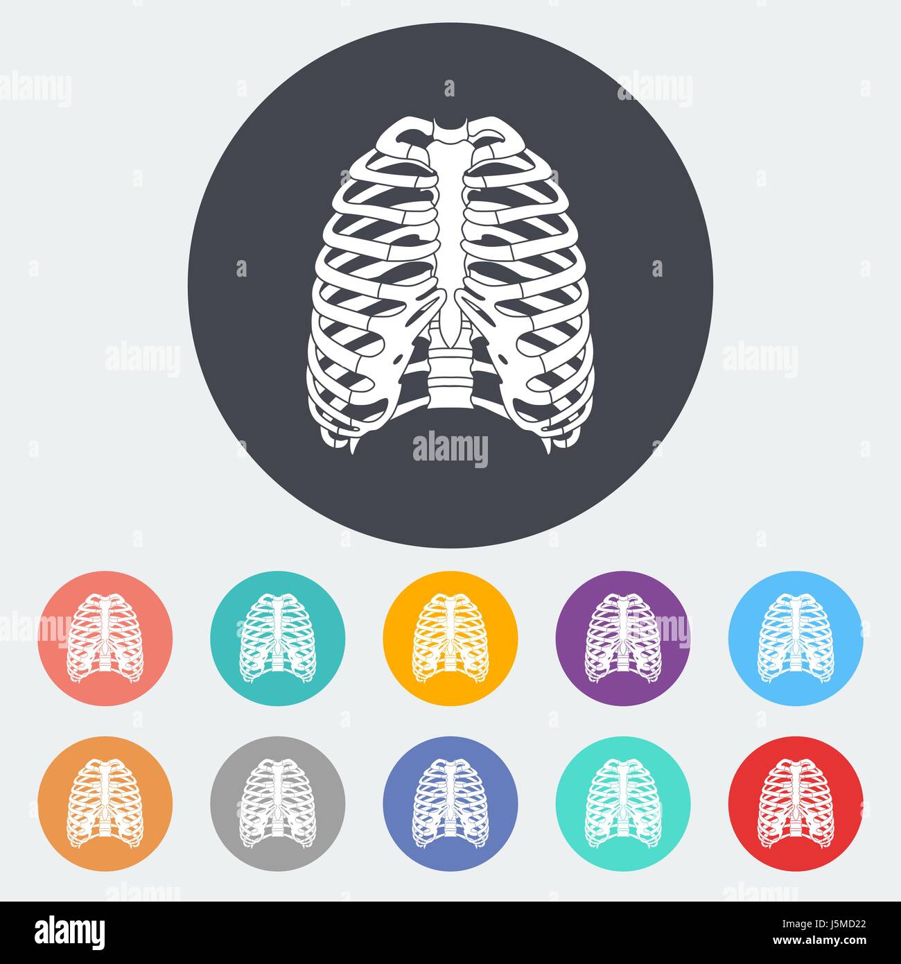 Human thorax. Single flat icon on the circle. Vector illustration Stock ...