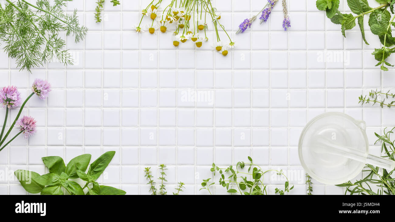 Fresh herbs on white masaic background Stock Photo
