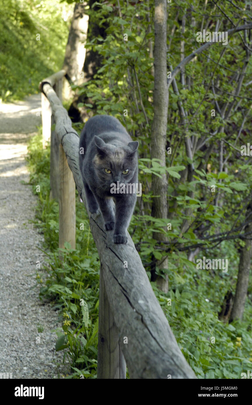 Straightforward view hi-res stock photography and images - Alamy