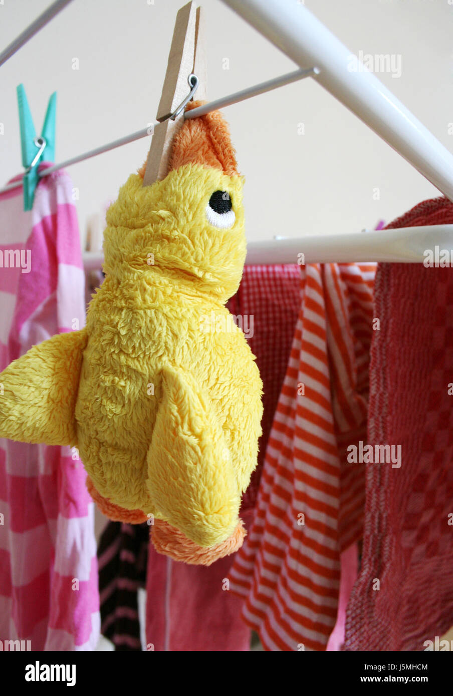 eye organ witty pet toy beak wet duck wash washing dry dried up barren