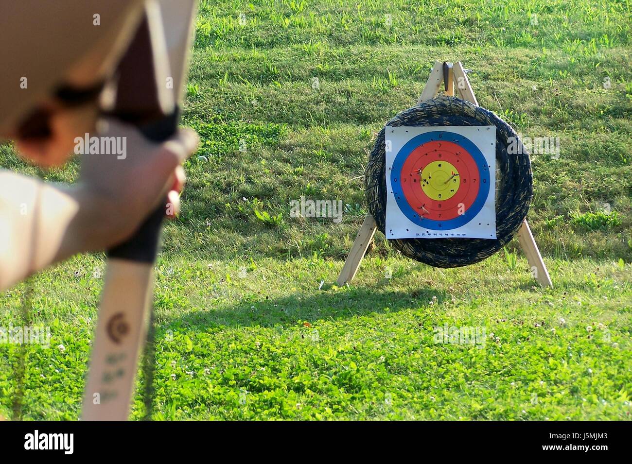 sagittarius target arrow sport sports arc sagittarius dots aim goal