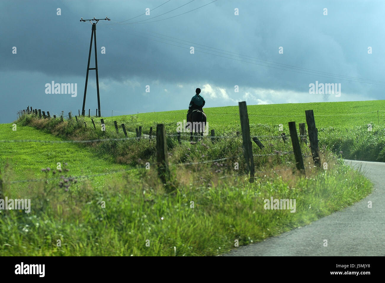 Reitserin hi-res stock photography and images - Alamy