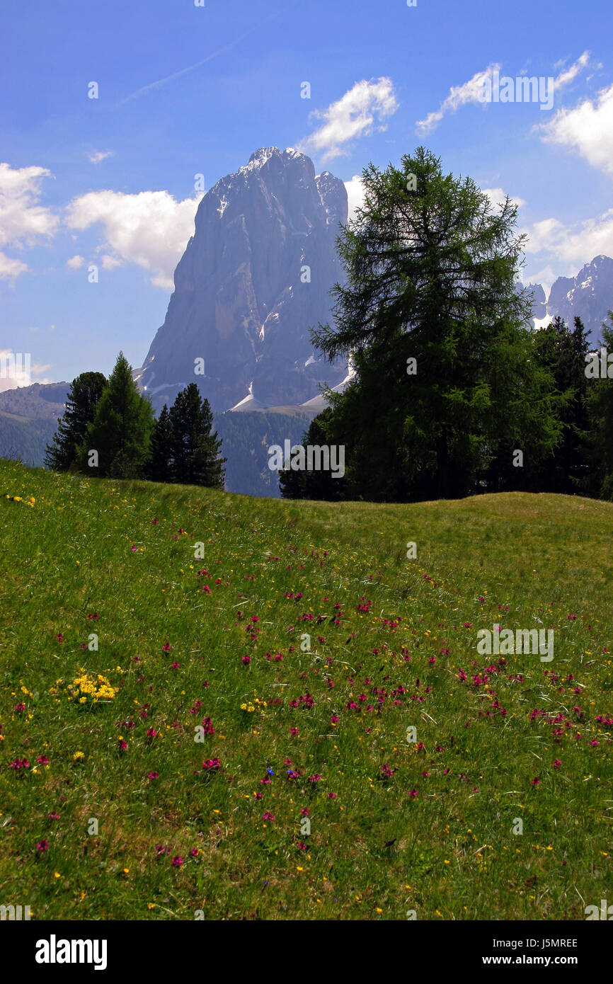 mountain meadows and peaks Stock Photo Alamy