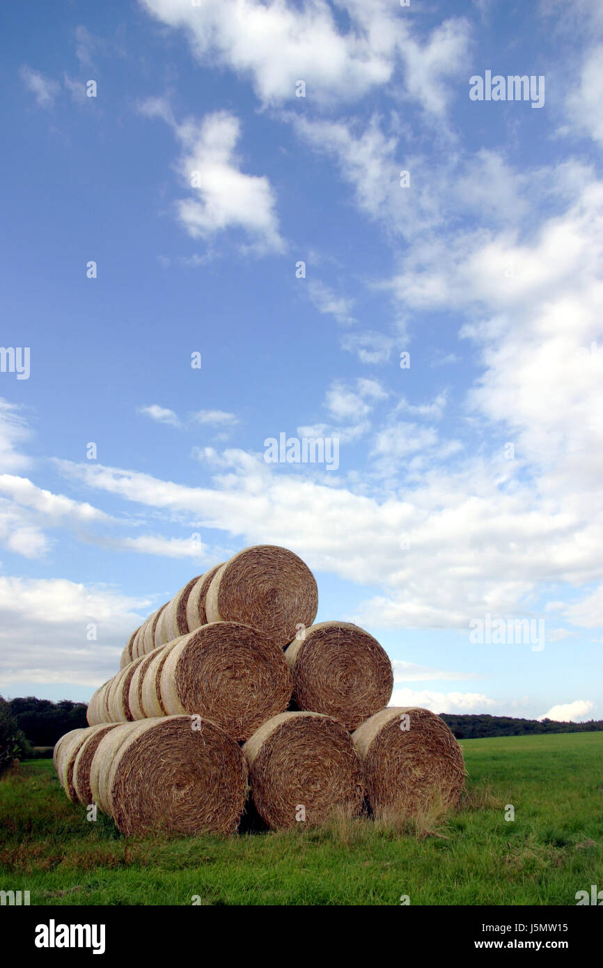 blue green agriculture farming summer summerly pyramid stack straw ball Stock Photo
