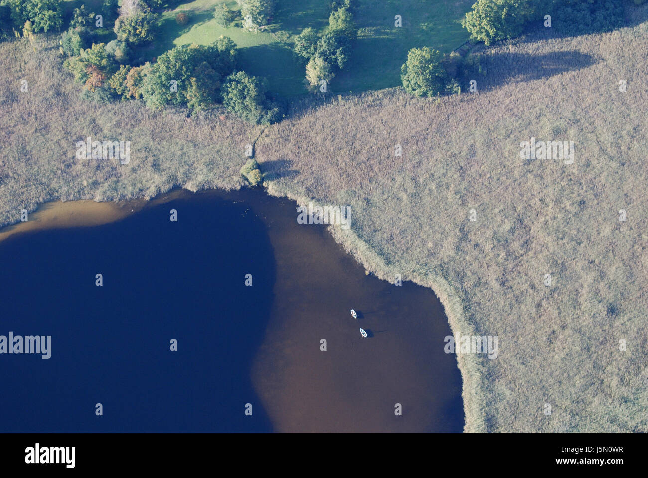 shine shines bright lucent light serene luminous environment enviroment