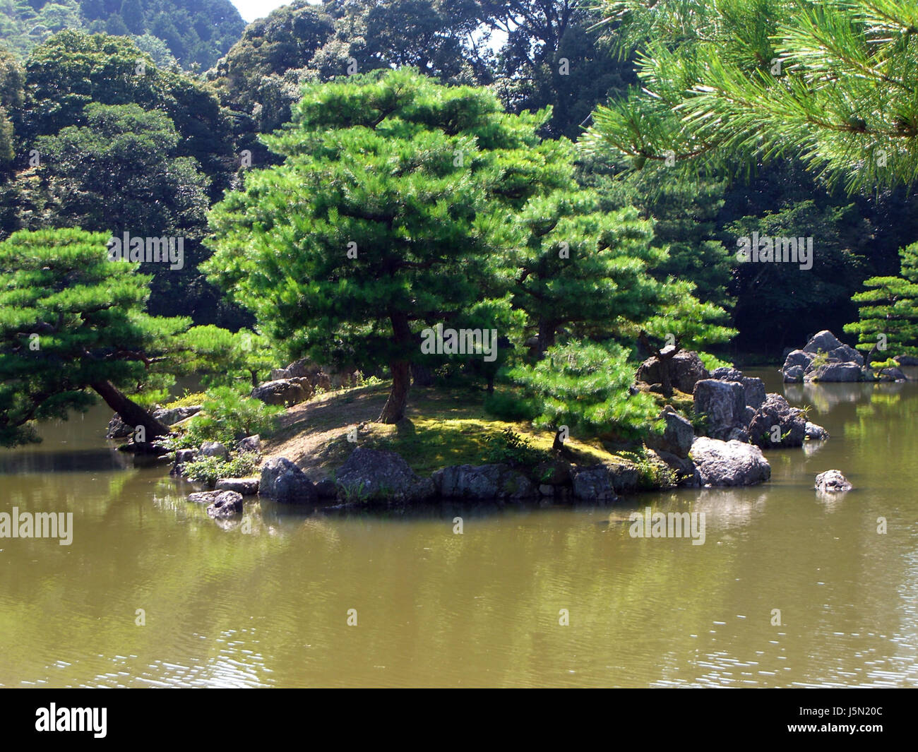 Water lilies and japanese bridge hi-res stock photography and images ...