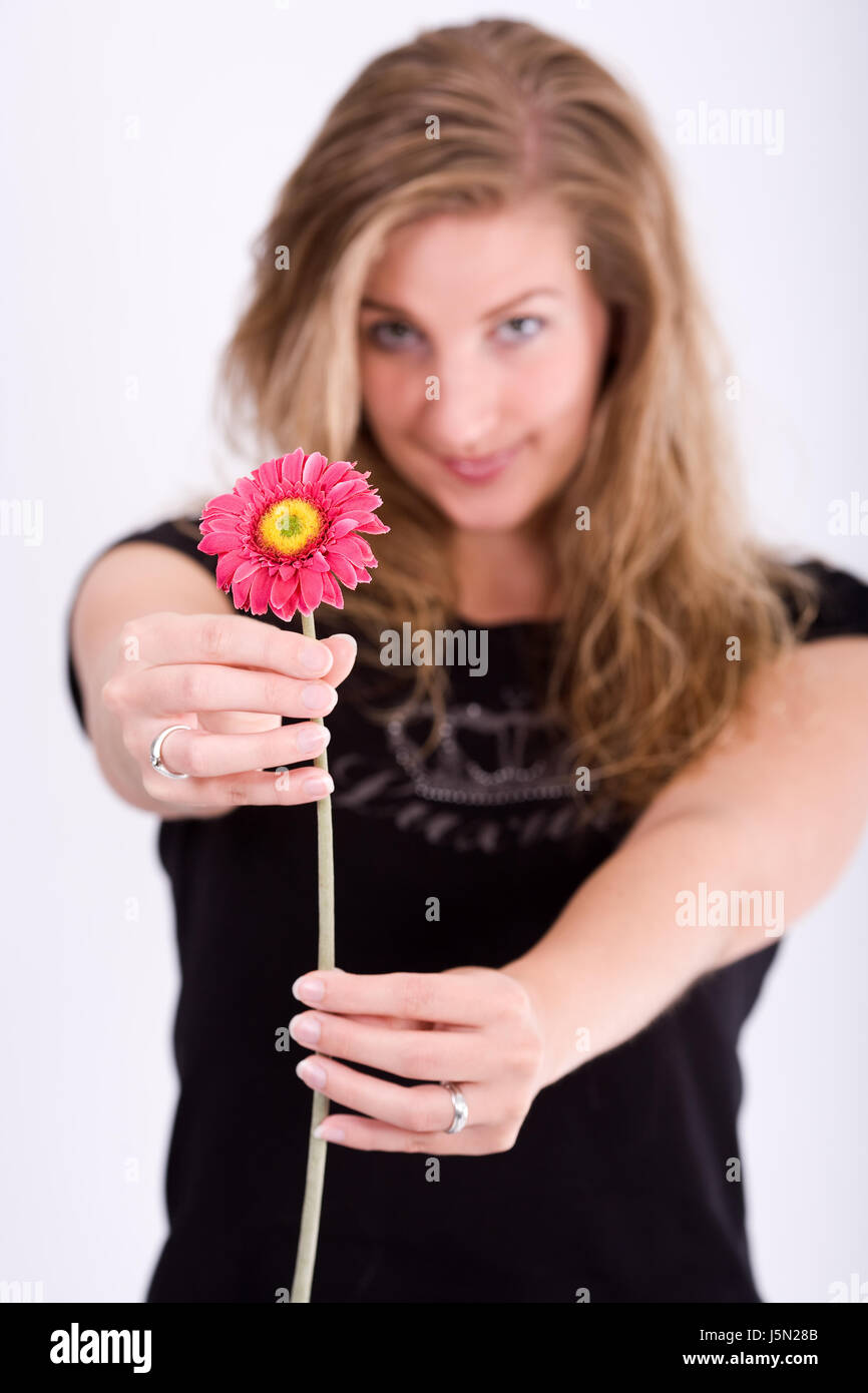 i give a flower Stock Photo