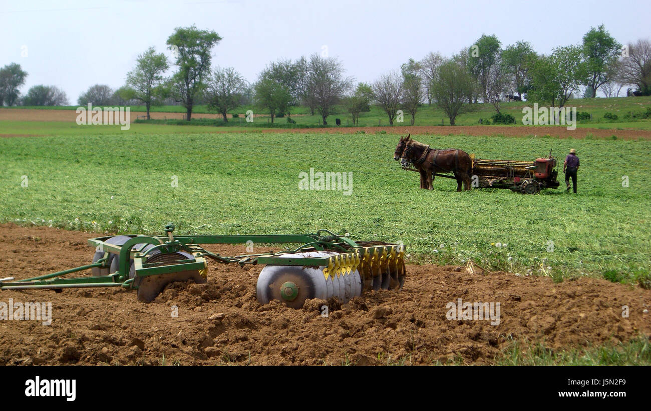 fieldwork as yesteryear Stock Photo Alamy