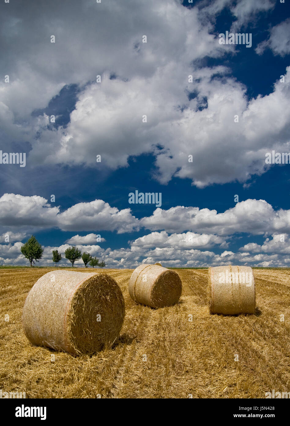 summertime - harvest time Stock Photo - Alamy